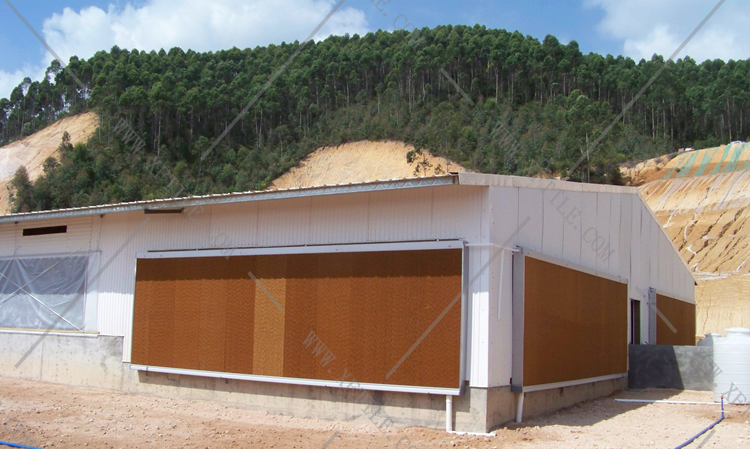 還在為廠房的墻體煩惱嗎？使用星發(fā)優(yōu)質墻體廠房塑料瓦